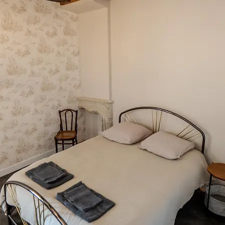 Apartment De Charme - Coeur De La Doutre - - 4 A 6 Personnes Angers