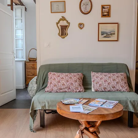Apartment De Charme - Coeur De La Doutre - - 4 A 6 Personnes Angers